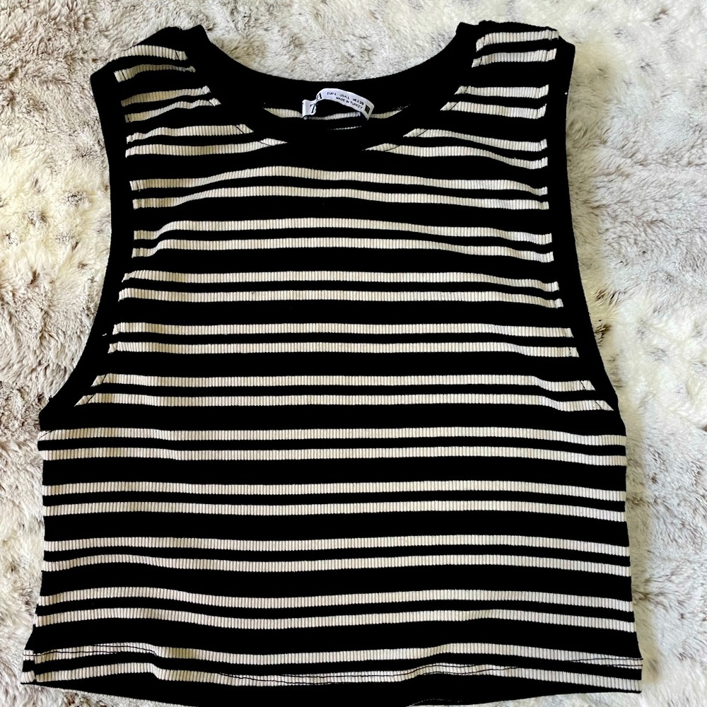 Zara striped crop top.